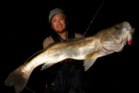 e3aesvksstwo9678sayo_480_480-c8226c37.jpg