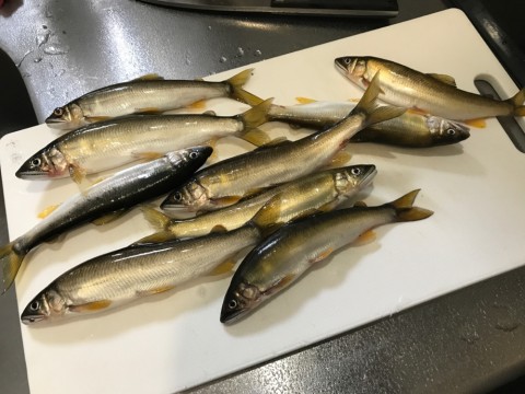 e3bsfrjuoi7njhbnxunc_920_690-3d75b830.jpg