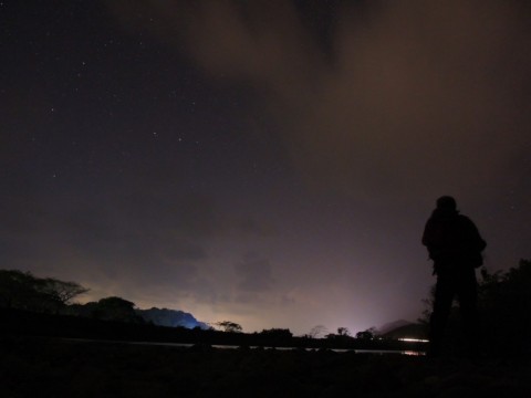 e3iad3n8psnf7nh83prv_480_480-220622c0.jpg