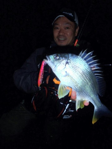 e3pdckk2f35s7bsf5w9s_690_920-d3275e47.jpg