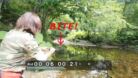 e3t9ctu4d63h2jpttw9u_480_480-5f003a1c.jpg