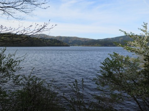 e42d56xo6ahrrjx9hrvt_920_690-e040353b.jpg