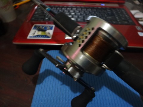 e44puftndc962ohjygwu_480_480-50c6de15.jpg