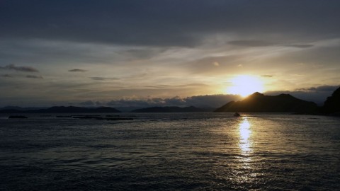 e4adurhbds6kbjwd7nii_480_480-33eb9579.jpg