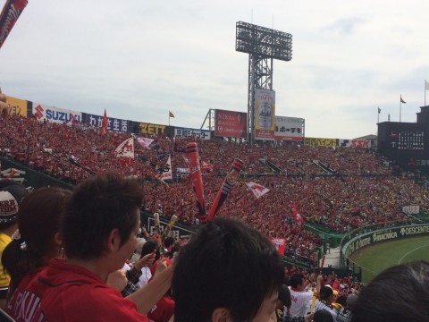 e4e5w2kw7ymjwbd4hst2_920_690-d314ae5d.jpg