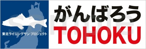 e4h6tykgaxuoavgiimbr_852_285-f4723dc9.jpg