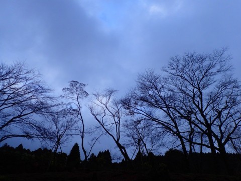 e4s27dg83mdzwy2kz5ts_480_480-5f800ee5.jpg