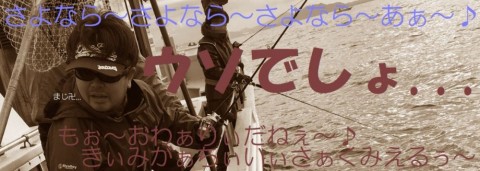 e4ua46ezxesg57pp7scx_480_480-affb8341.jpg