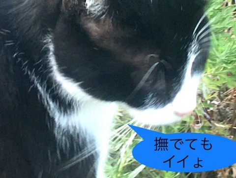 e4xm9gxfpz9owf7u59nb_480_361-684104fa.jpg