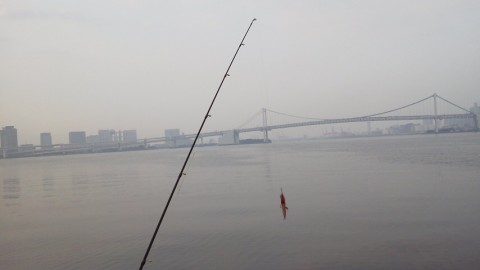 e58ij7oxhjinm84st3se_480_480-2ab72e99.jpg