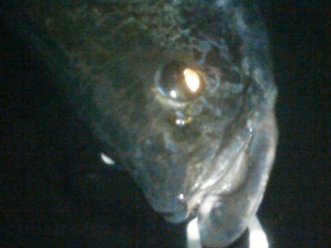 e5abcrnmyf9m4tmakr49_920_690-098c38d4.jpg