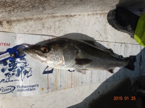 e5ud2d3uamfmr98drosy_480_480-9020df14.jpg