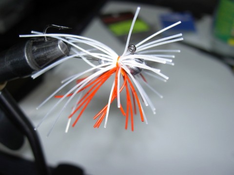 e664yhtztiwoatmwc6dr_480_480-b10633db.jpg