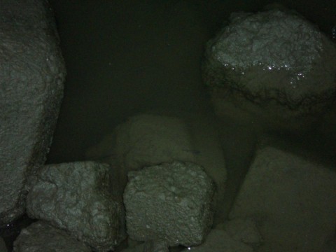 e66gmdve8xdiac26bcmu_480_480-89d91887.jpg