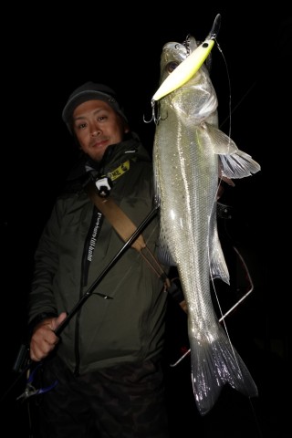 e679wt9nmhfu7y7rfeoc_480_480-0a8012dc.jpg