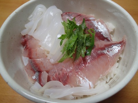 e6hh8njiacgxrce9aaob_480_480-53b86d7a.jpg