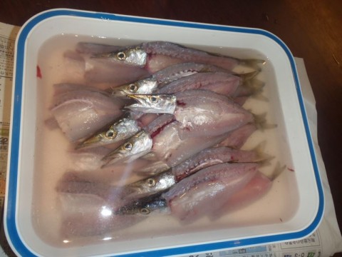 e6r69oi6zdkfgtkbz56j_480_480-e091e52a.jpg