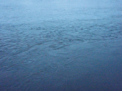 e6uipyygmpp6vw6892b4_480_480-253a4152.jpg