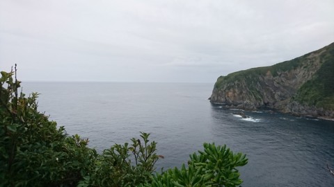e6vpacnrruipjzsorh6n_480_480-bb0974d3.jpg