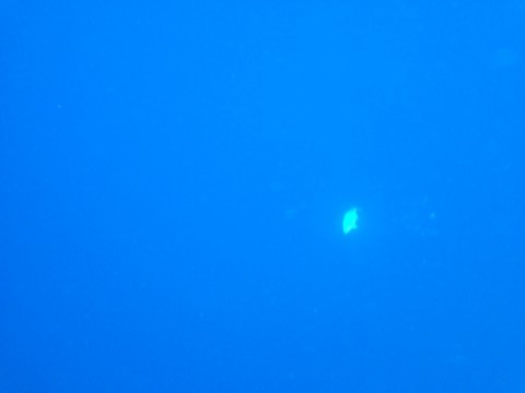 e72i9txjffxmgxb9a3by_920_690-ccc34749.jpg