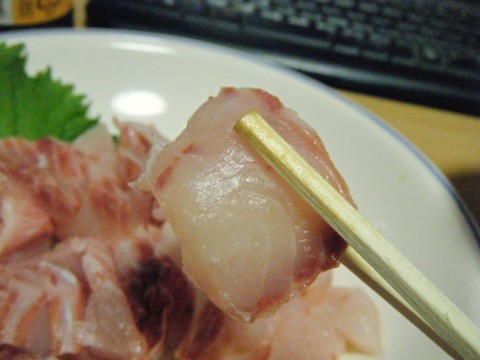 e7665ettve5jjxp2p5zb_480_480-eb1648f5.jpg