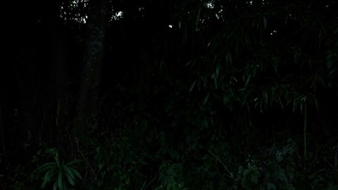 e7gjohj9vphpcpe3i2ta_920_518-165641ca.jpg