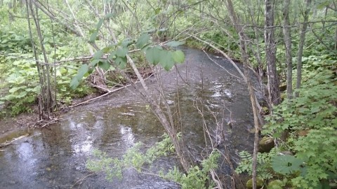 e7mm7c5w5ecawgpc9669_920_518-f6f74078.jpg