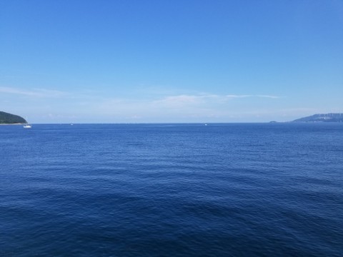 e853mu5285etoezjfiyu_480_480-f5f1de0b.jpg