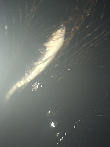 e8po8zstupcm78iyzpjf_690_920-3188119c.jpg