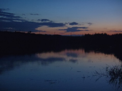 e8yy3oe6ukbd8ossdn9f_480_480-cee740c2.jpg