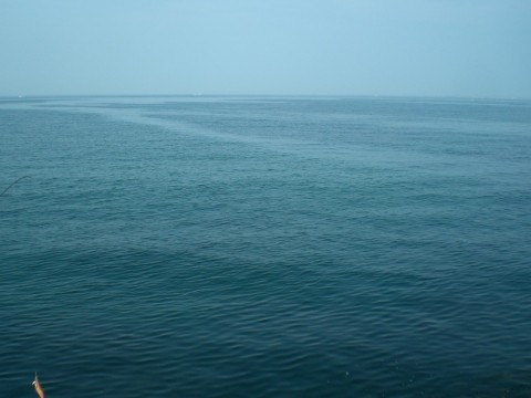e9aahpxen6cu75juf2s2_480_480-ea387848.jpg