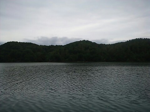 e9h9i3wphngu79fc4ae5_640_480-b6687e46.jpg