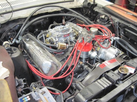 e9xj4a76s2uzw63hk6za_480_480-988fe506.jpg