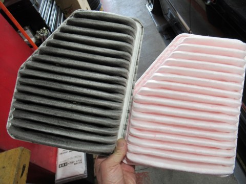 e9zs6z427tzx35x9e45c_480_480-45fed24a.jpg