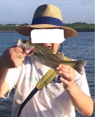 eaigxeyt9ctagdb2cr9t_745_920-0af4ce05.jpg