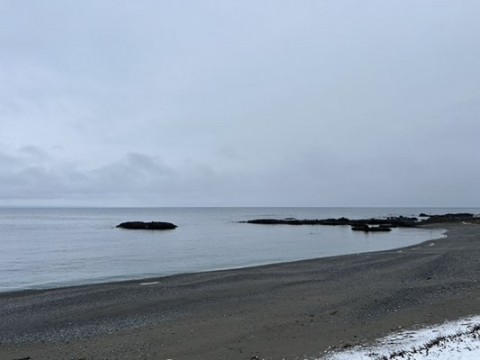 eam3bnmmo62ypaimjds3_480_360-01b82e32.jpg
