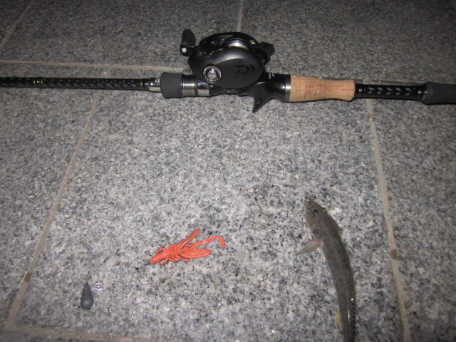 とくちゃんのぶち釣っちゃるんじゃけ 意外にいいぞ フエゴctカスタム 笑 とくちゃんのぶち釣っちゃるんじゃけ 意外にいいぞ フエゴctカスタム 笑