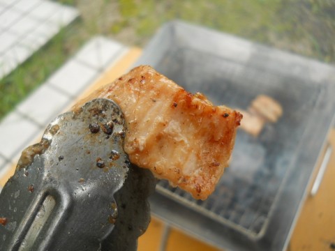 eaw8giobfprmhwdiw2sd_480_480-e5f061df.jpg