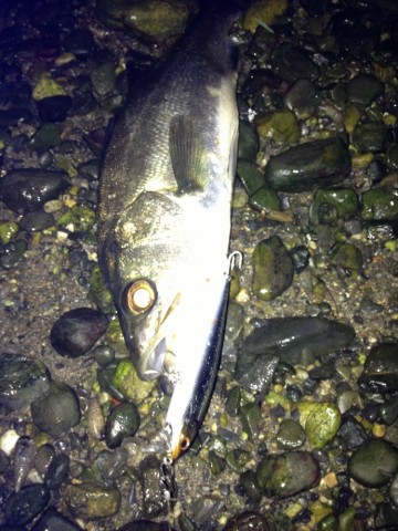 eayinnzu22y6k9mgopmu_690_920-07839850.jpg