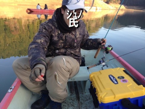 eb88it425tsttrb5382f_480_480-b5b2b1d9.jpg