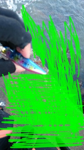 ebfyti53gcobdk86g7ck_518_920-26215597.jpg