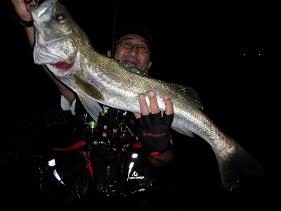 eboa28eg5nk2942hs2x8-b580c680.jpg