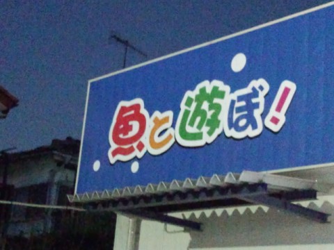 ebxpa3dokgyj2se6r8av_480_480-0433b07a.jpg
