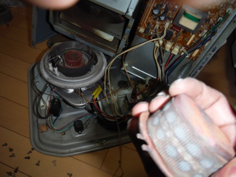 ec22ofuise8dn7fcpoo8_480_480-c0c97ea7.jpg
