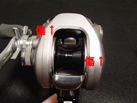 ecr3utwecb2n9ubounv4_480_480-222fbd8d.jpg