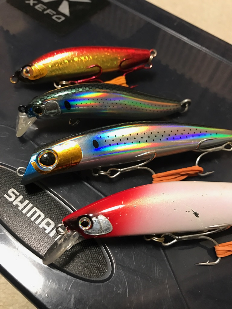 Shimano Saltwater Blog 春の小型ミノーセレクト術 266 365