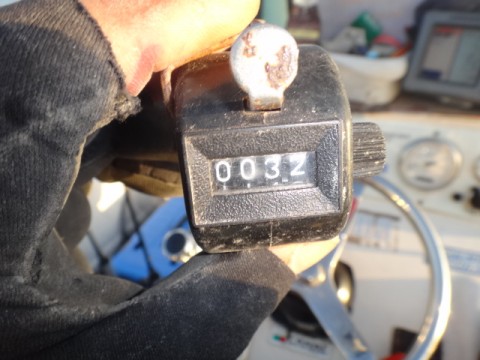 ed28krzo8dp6s3crstx7_480_480-ac676276.jpg
