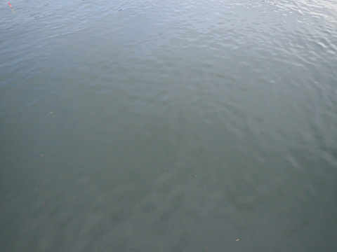 ed6mtuto4t6wpk9prbu6-d4d9dc80.jpg