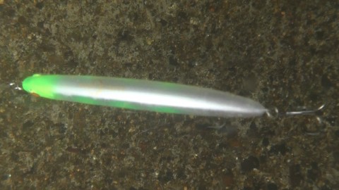 edapz8cncu9n4bttdkpw_480_480-405619dc.jpg