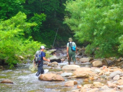 edjydrhd4b8mx223kh8i_480_360-f351cae5.jpg